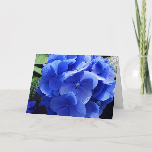 Cartão Hydrangea Azul (Frente)