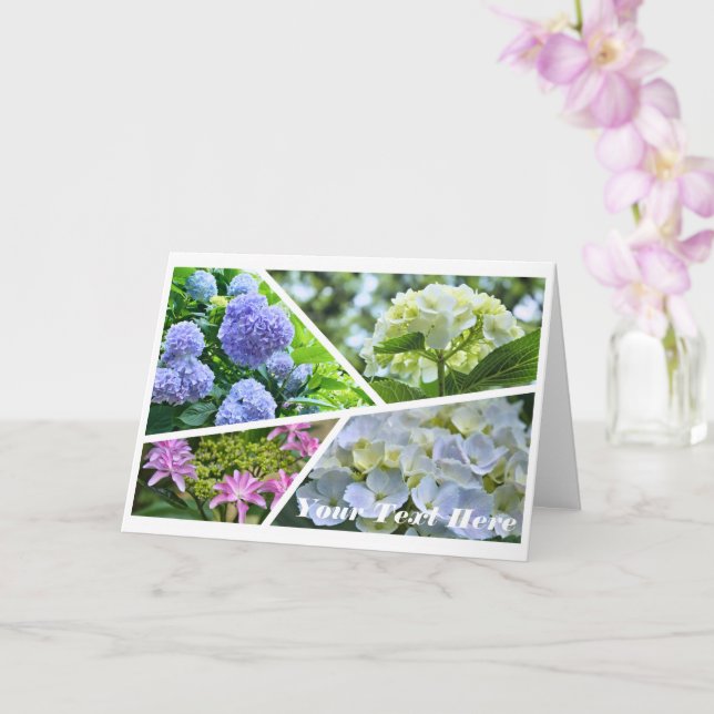 Cartão Hydrangea [Greeting Card] カード (Orquídea)