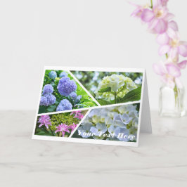 Cartão Hydrangea [Greeting Card] カード
