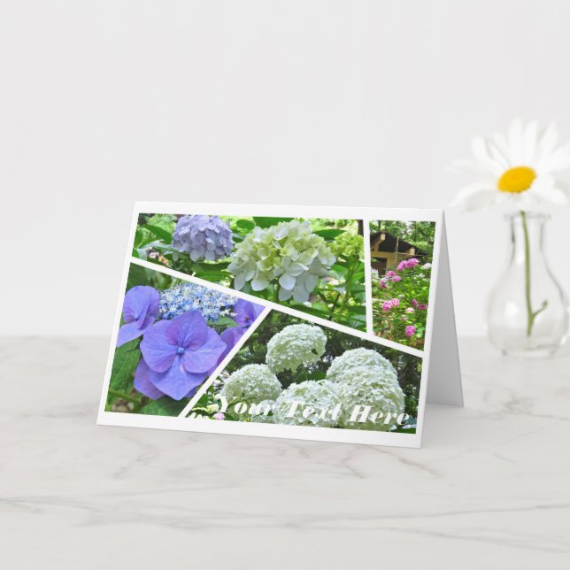 Cartão Hydrangea [Greeting Card] カード (Planta pequena)