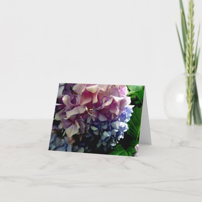 Cartão Hydrangea Notecard Híbrida (Frente)