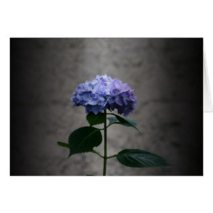 Cartão "hydrangea" por Larry Coressel