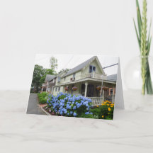 Hydrangeas no canto - Vineyard de Martha