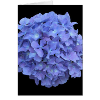 Cartão Hydrengea