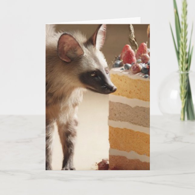 Cartão Hyena & Cake Curiosity Greeting Card (Frente)