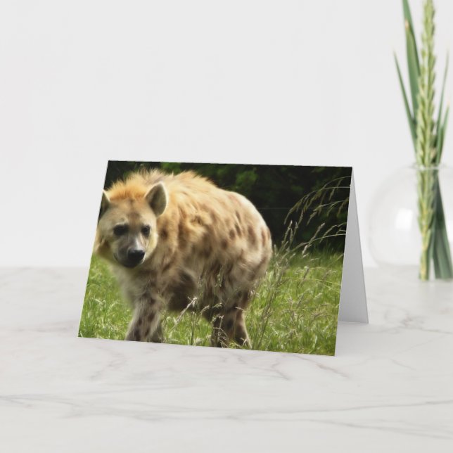 Cartão Hyena Greeting Card (Frente)