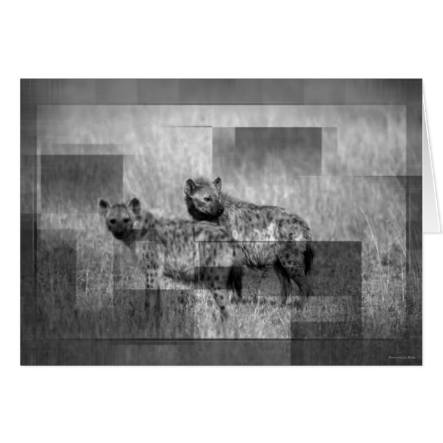 Cartão Hyenas Card (Frente Horizontal)