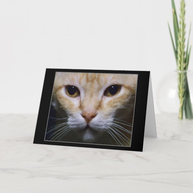 Cartão "Hypnotic" (Frente)