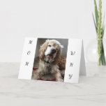 Cartão "I AM A LUCKY DOG" to have **YOU** MOM - BIRTHDAY<br><div class="desc">ON HER BIRTHDAY LET HER KNOW HOW ****HAPPY**** YOU ARE TO HAVE "HER FOR A MOM"</div>
