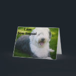 CARTÃO "I AM BOW LINGUAL" BIRTHDAY GREETINGS<br><div class="desc">This guy is so smart but says he is "intelligent" because he has that Special Someone in HIS LIFE! How about YOU!</div>