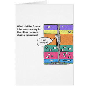 Cartão i_call_shotgun