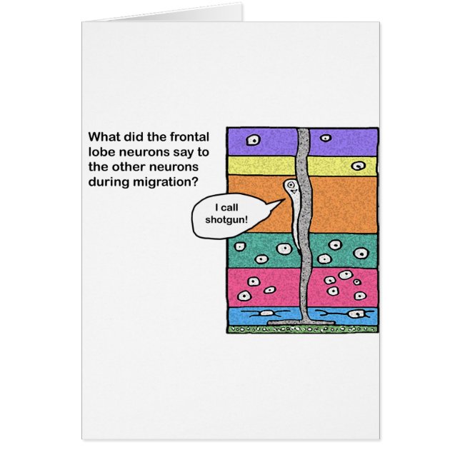 Cartão i_call_shotgun (Frente)