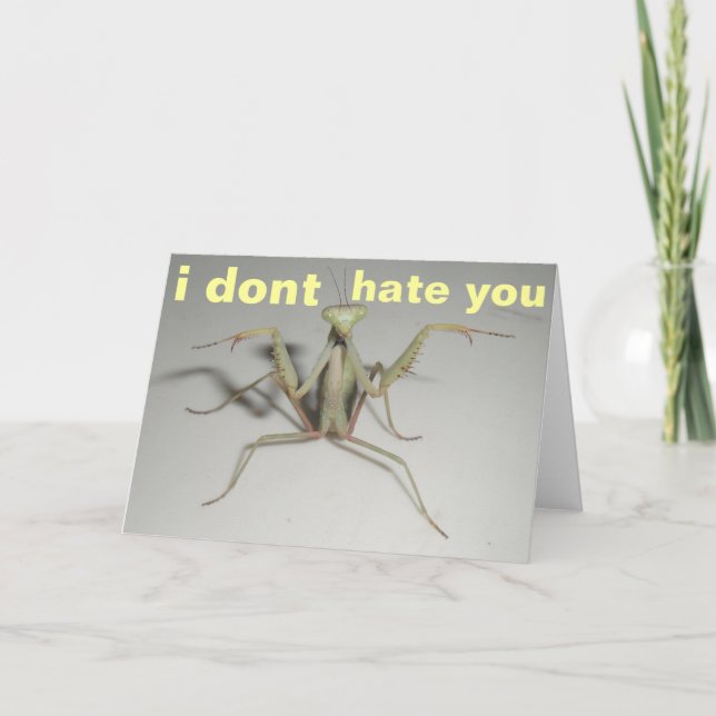 Cartão i dont hate you (Frente)