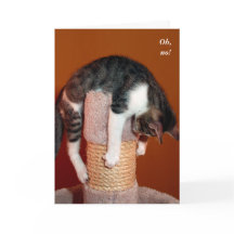 I Hang in There Humorous Cat Support Card