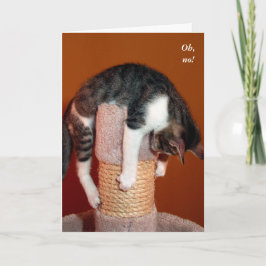 Cartão I Hang in There Humorous Cat Support Card
