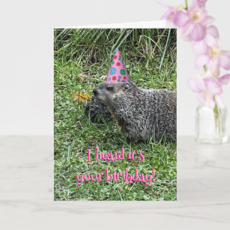 Cartão I heard it's your birthday, groundhog cards