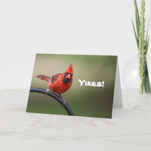 Cartão I Hope You're Okay Notecard (Frente)