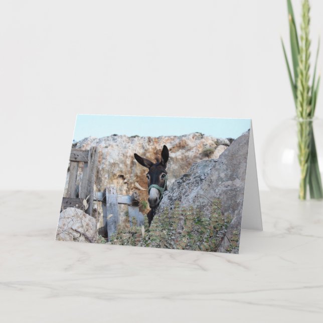 Cartão I Love Donkeys! (Frente)