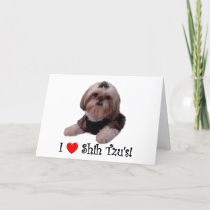Cartão I Love Shih Tzu