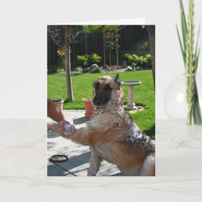 Cartão I Love Us German Shepherd Anniversary Card (Frente)