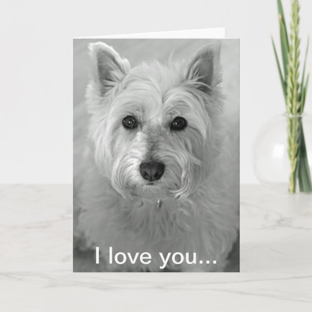 Cartão I Love You Card - Cute Westie Dog Card (Frente)