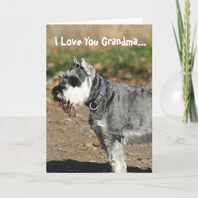 Cartão I Love You Grandma Schnauzer dog greeting card (Frente)