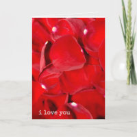 i love you red rose petals