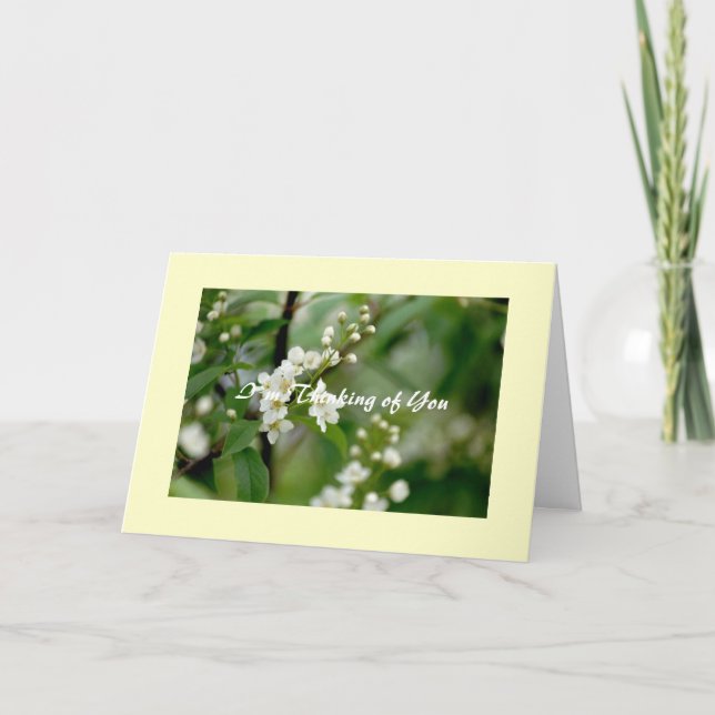 Cartão I`m Thinking of You (Frente)