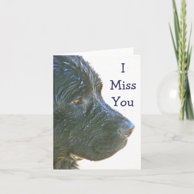 Cartão "I Miss You" Beautiful,Sad-looking Newfie Dog (pho (Frente)