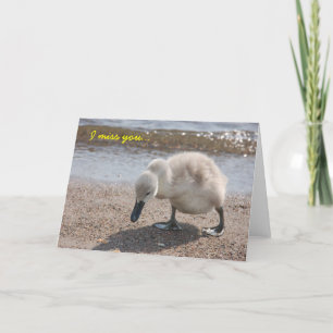 Cartão "I miss you" bonito