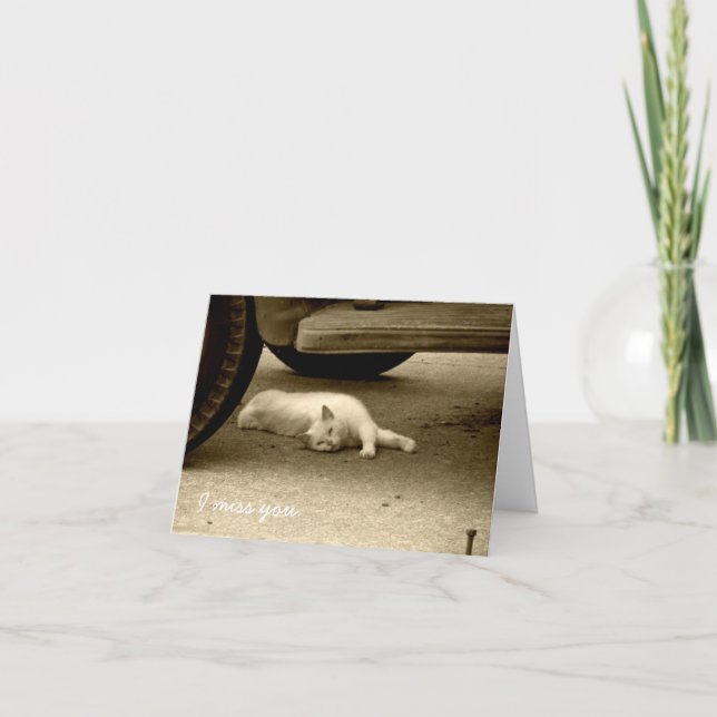 Cartão I Miss You Card - Lonely Cat (Frente)