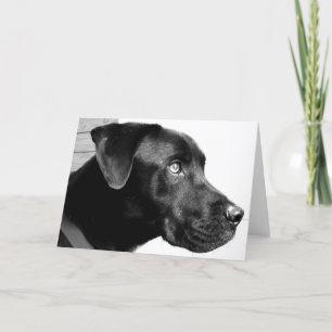 Cartão I miss you man!