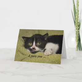Cartão I Miss You, Shy Tuxedo Kitten