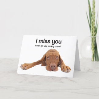 Cartão I Miss You (Vizsla)