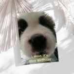 Cartão I Nose it's Your Birthday Card<br><div class="desc">Funny item says I Nose it’s Your Birthday with a hysterical picture of the close up of a puppy’s nose.  Makes a Great Card for the dog lover in your life!</div>