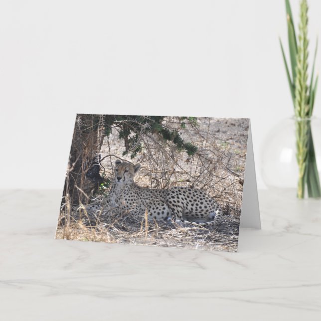 Cartão I see You (Frente)