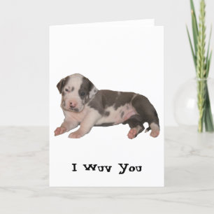 Cartão I Wuv You