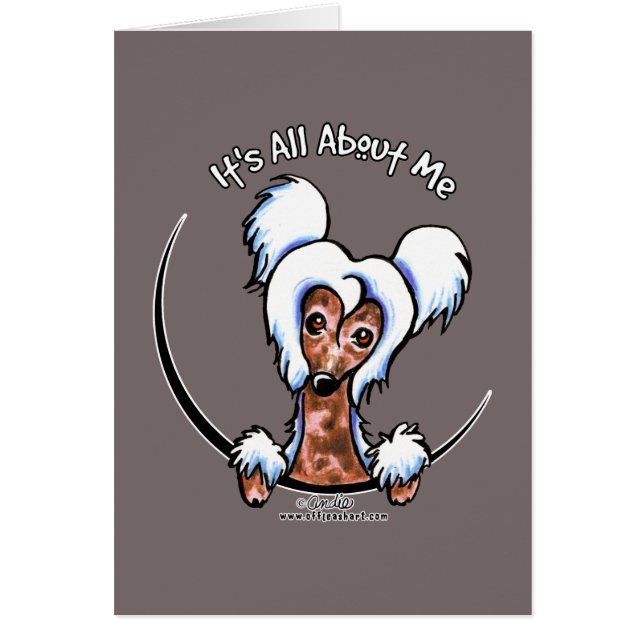 Cartão IAAM Detido Chinês (Frente)