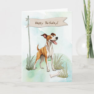 Cartão Ibizan Hound Dog Lá Fora Sob Sinal De Aniversário