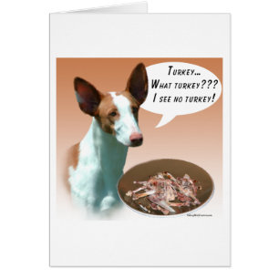 Cartão Ibizan Hound Turquia