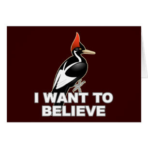 Cartão IBWO: Eu quero acreditar
