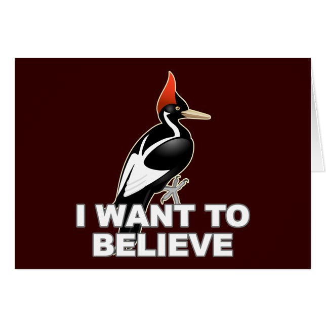 Cartão IBWO: Eu quero acreditar (Frente Horizontal)