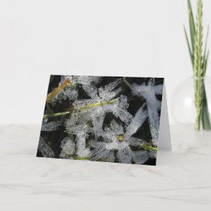 Cartão Ice flowers