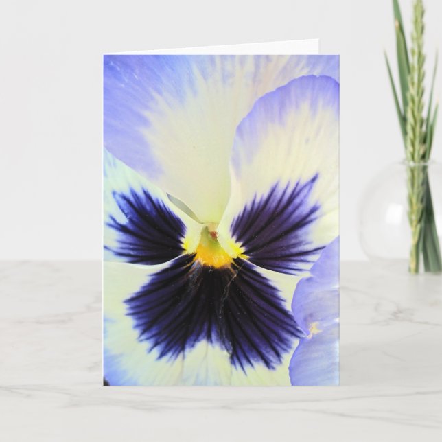 Cartão Ice Pansy Greeting Card (Frente)