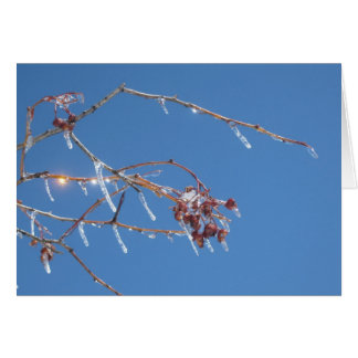 Cartão Ícicles brilham à luz do sol contra o céu azul