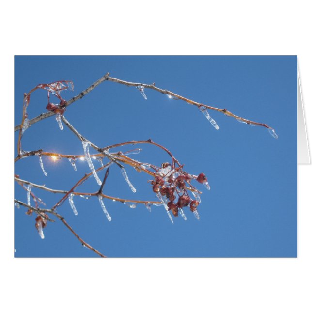 Cartão Ícicles brilham à luz do sol contra o céu azul (Frente Horizontal)