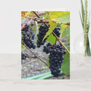 Cartão Idade para a Perfecção