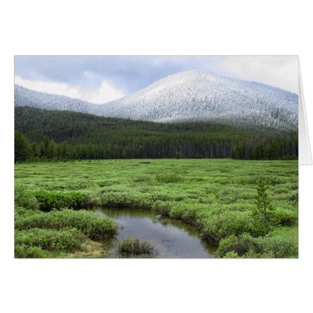 Cartão Idaho Mountain Snowfall (Frente Horizontal)