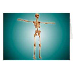 Cartão Ideia de perspectiva do sistema esqueletal humano