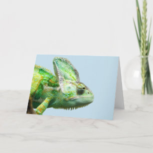 CARTÃO IGUANA BIRTHDAY CARDS